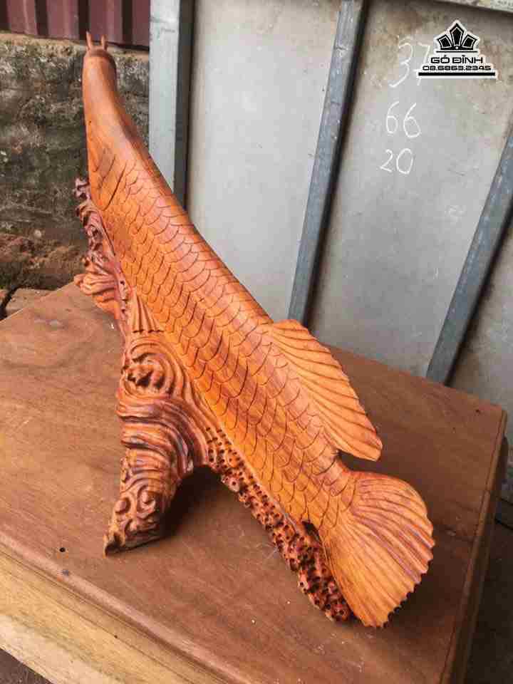 Ca-kim-long-go-huong-cao-37-rong-66-day-20-cm