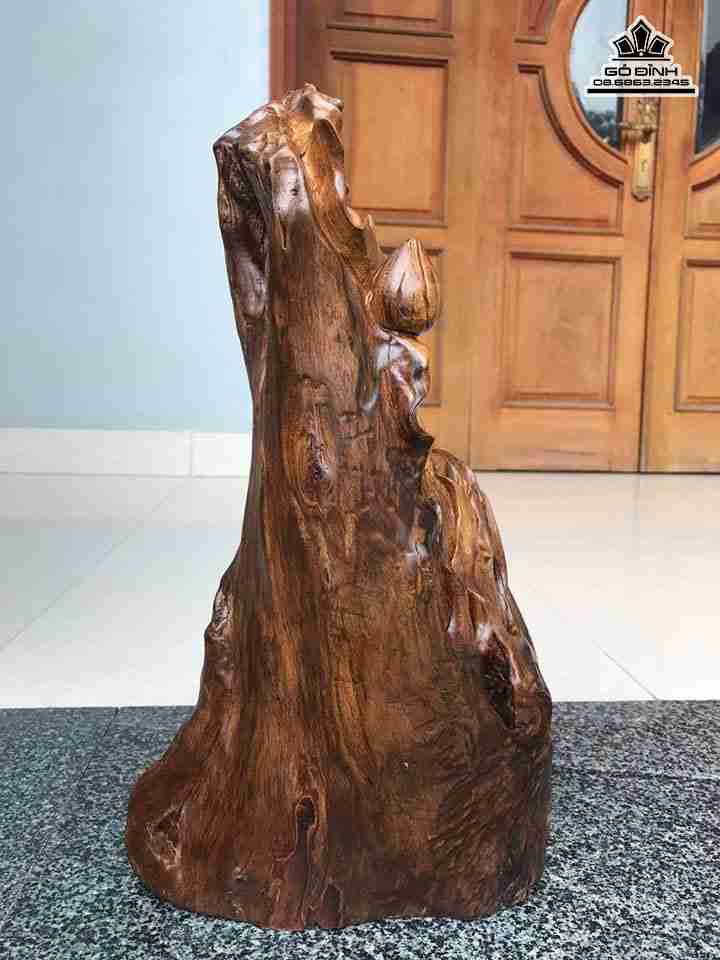 Phat-ba-go-bach-xanh-cao-45-rong-19-day-24-cm