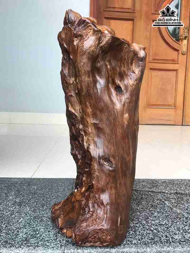 Phat-ba-go-bach-xanh-cao-45-rong-19-day-24-cm