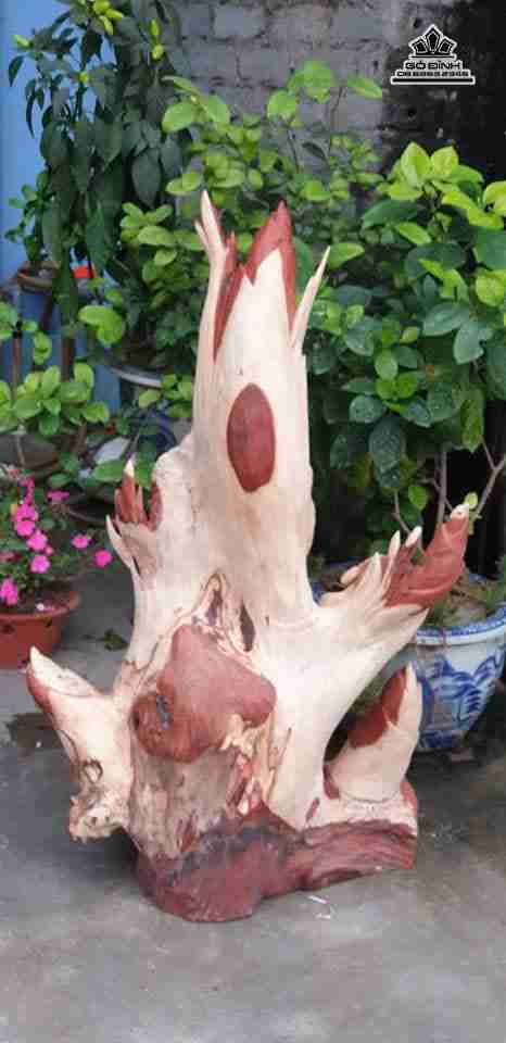 Tuong-Gia-Dinh-Gau-Truc-go-huong-