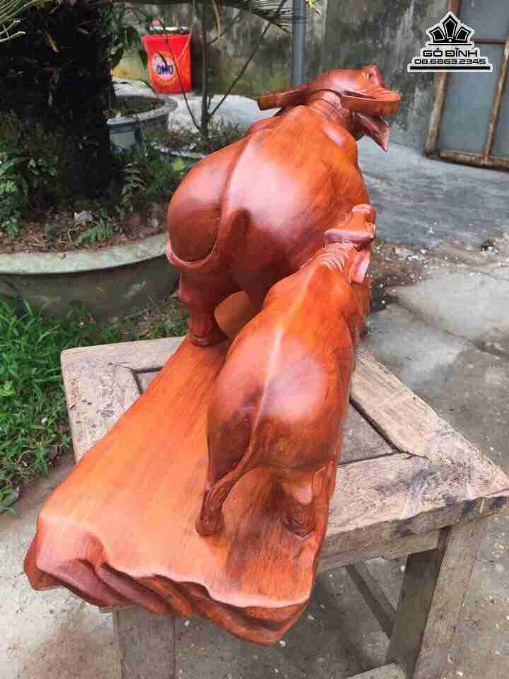 Tuong-Trau-Me-Trau-Con-go-huong