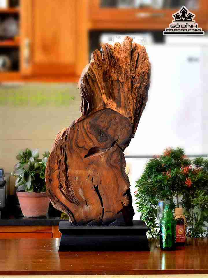 Tuong-Dien-Phat-go-bach-xanh-