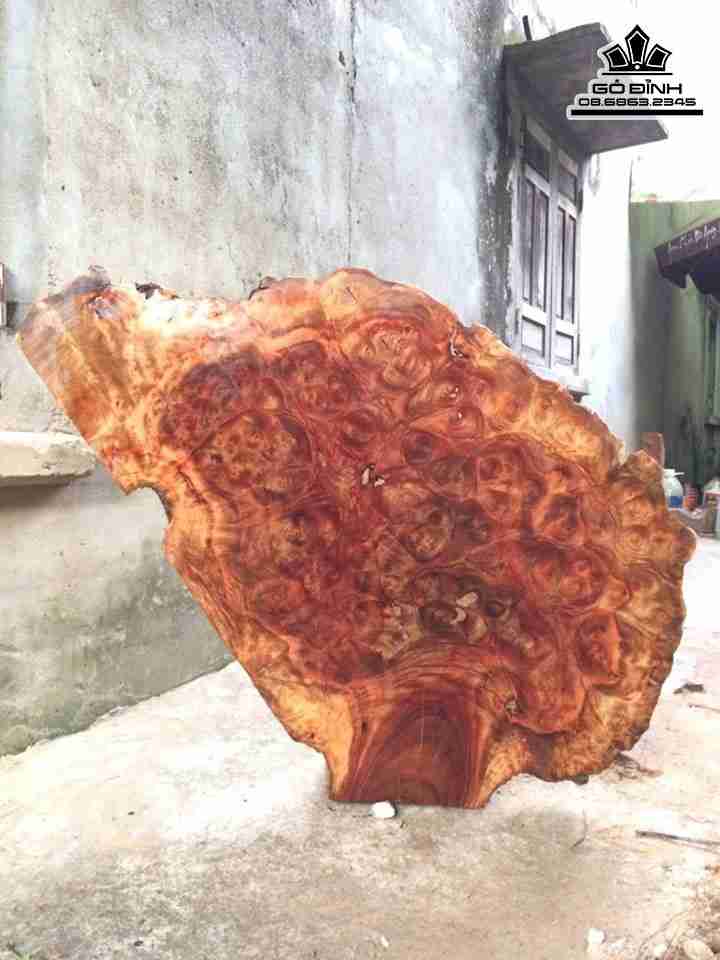 Mat-Ban-Go-Nu-Xa-Xi-Gu-Huong