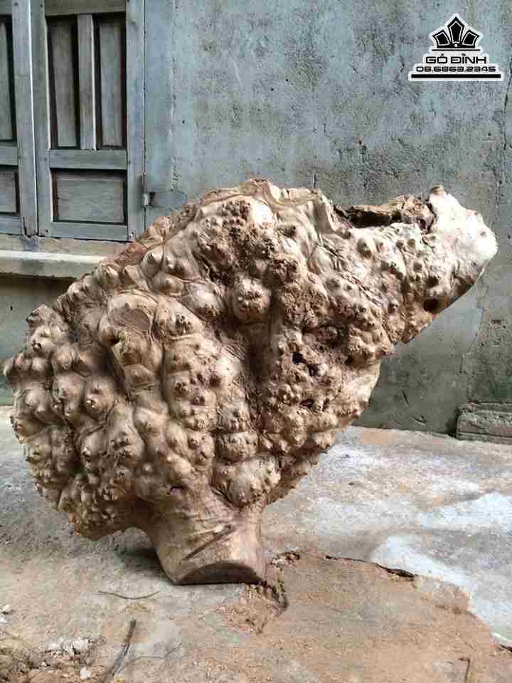 Mat-Ban-Go-Nu-Xa-Xi-Gu-Huong