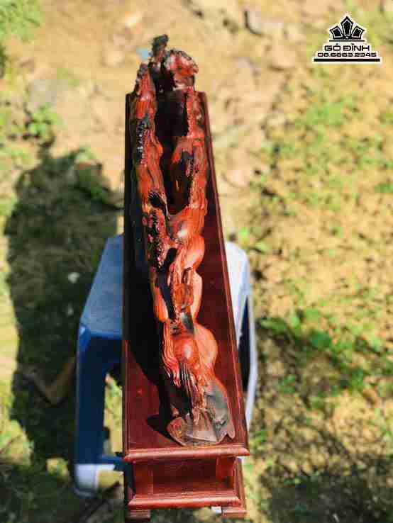 Tuong-Ma-Dao-Thanh-Cong-Go-Trac-