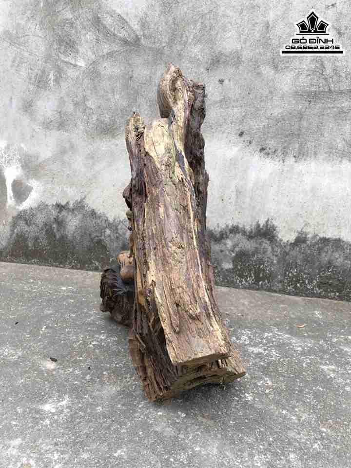 Tuong-Dat-Ma-Ngoi-Thien-Go-Lua-Bach-Xanh