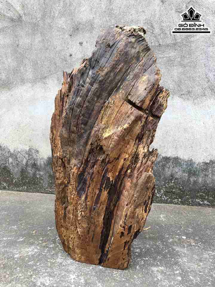 Tuong-Dat-Ma-Ngoi-Thien-Go-Lua-Bach-Xanh