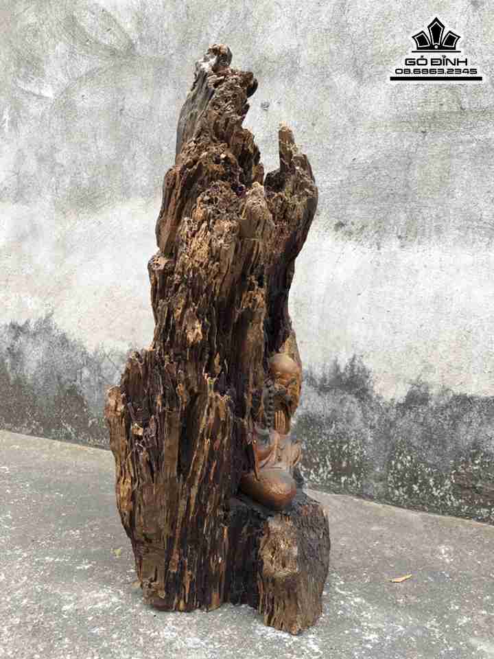 Tuong-Dat-Ma-Ngoi-Thien-Go