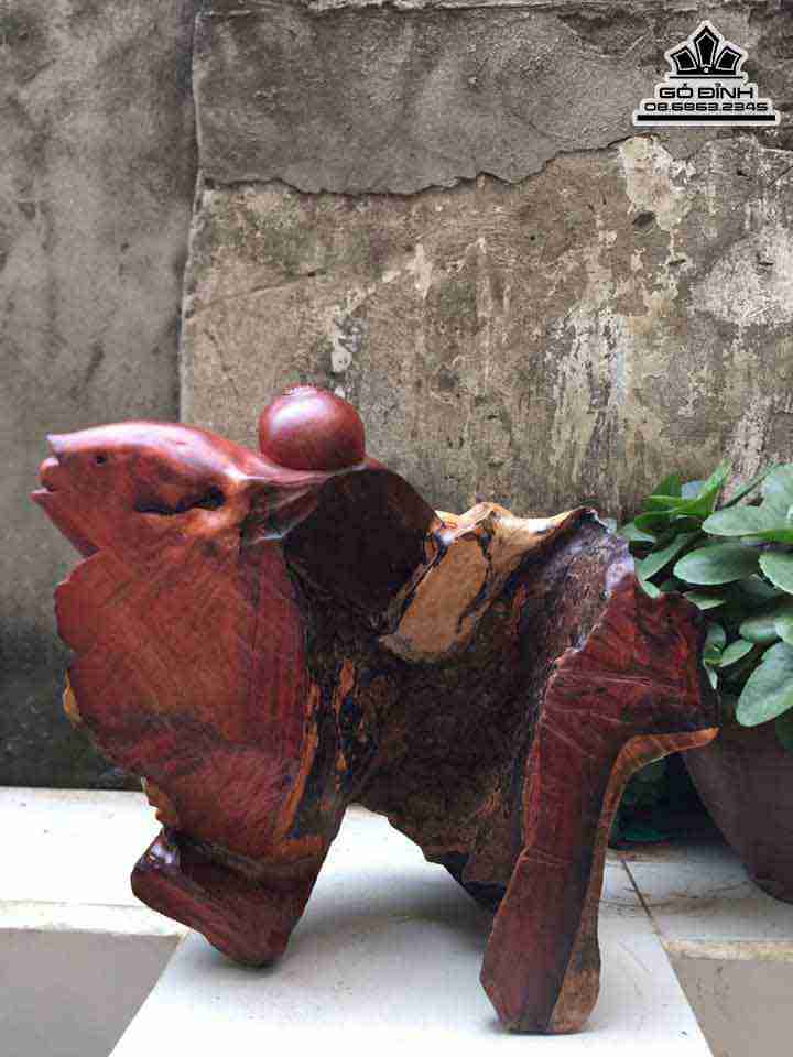 Tuong-Tieu-Dong-Om-Ca-Chep-Go-Huong