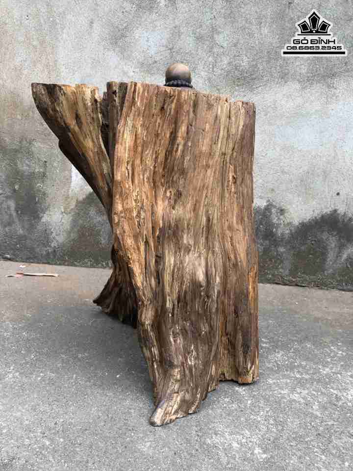 Tuong-Dat-Ma-Ngoi-Thien-Go