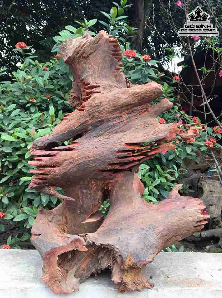 Tuong-Dat-Ma-Xuat-Quyen-Go-Huong