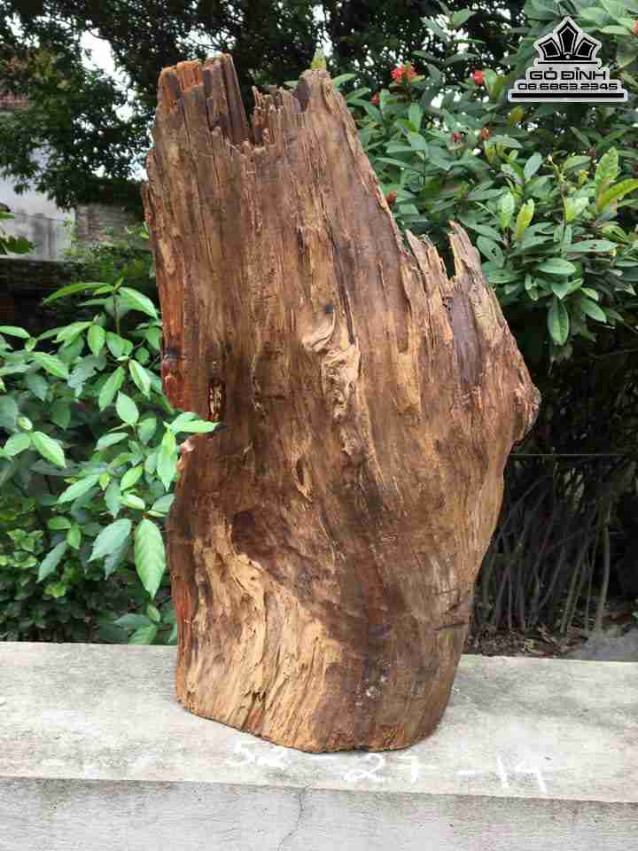 Tuong-Than-Tra-Go-Lua-Bach-Xanh