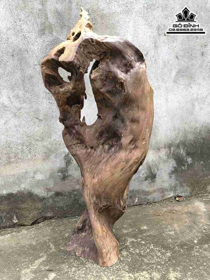 Tuong-Go-Phat-Di-Lac