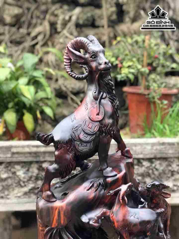 Tuong-Tam-Duong-Khai-Thai-Go-Trac