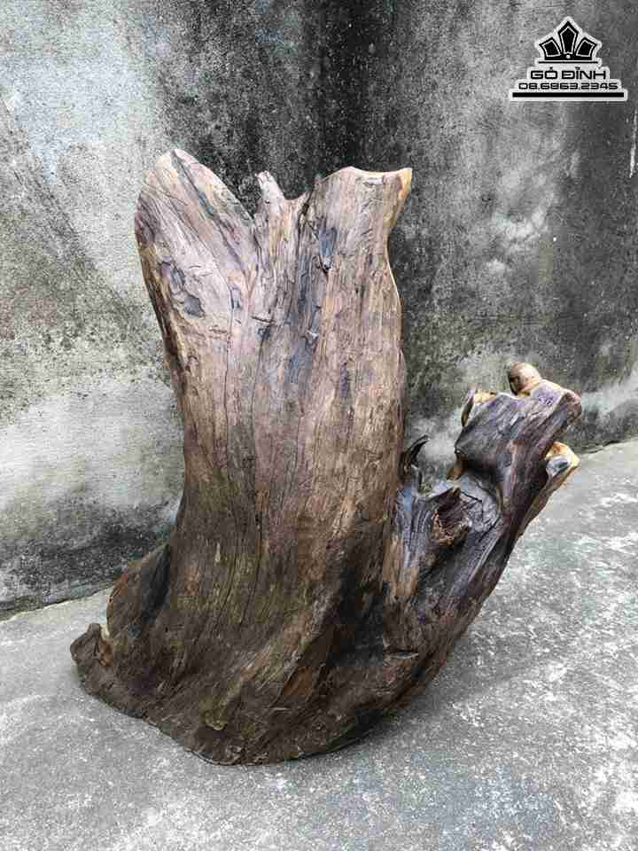 Tuong-Phat-Di-Lac-Go-Lua-Bach-Xanh