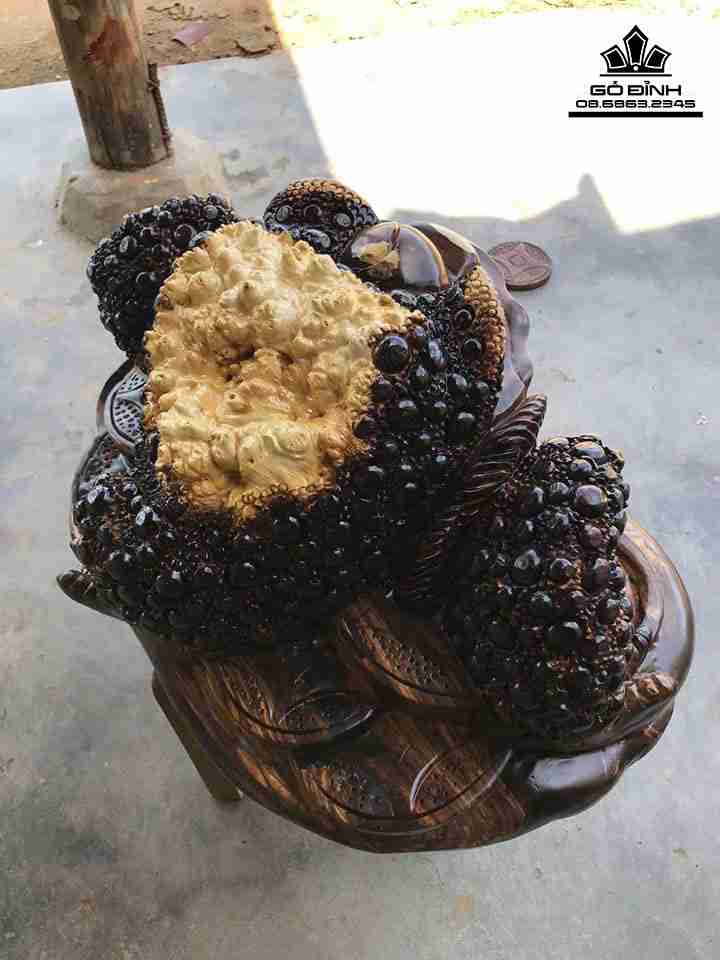 Tuong-Coc-Ngam-Tien-Go-Cam-Sung