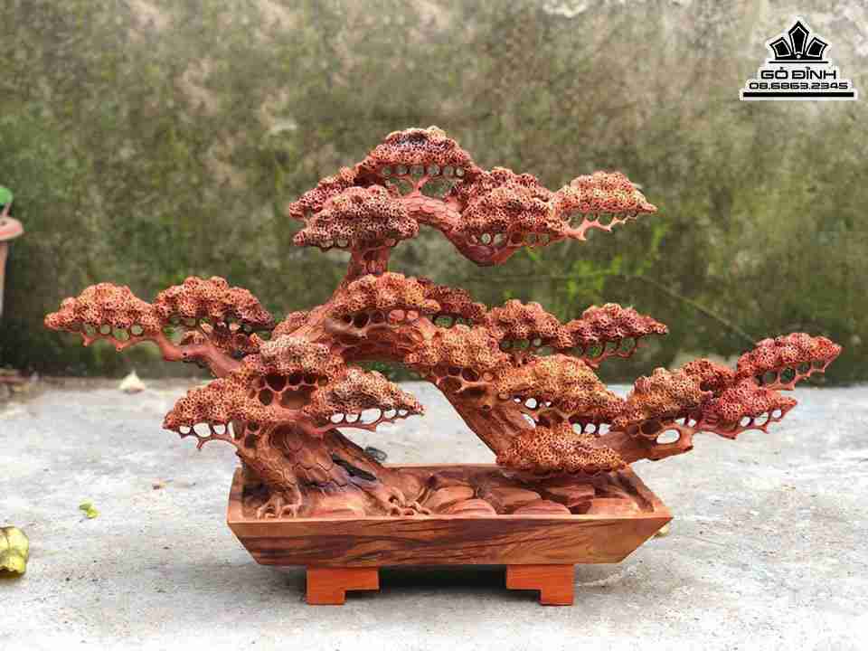 Chau-Tung-Bon-Sai-Go-Huong