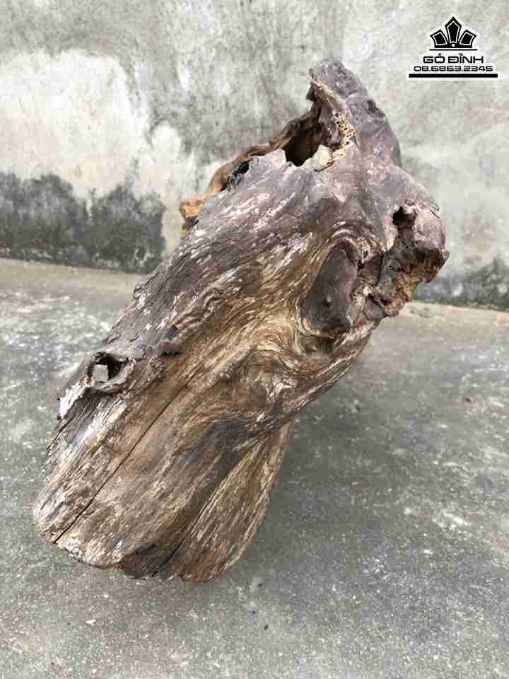 Tuong-Go-Dat-Ma-Ngoi-Thien