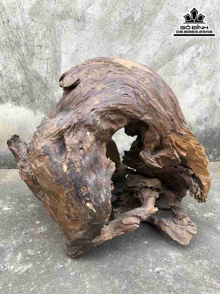 Tuong-Dat-Ma-Ngoi-Thien-Go-Bach-Xanh