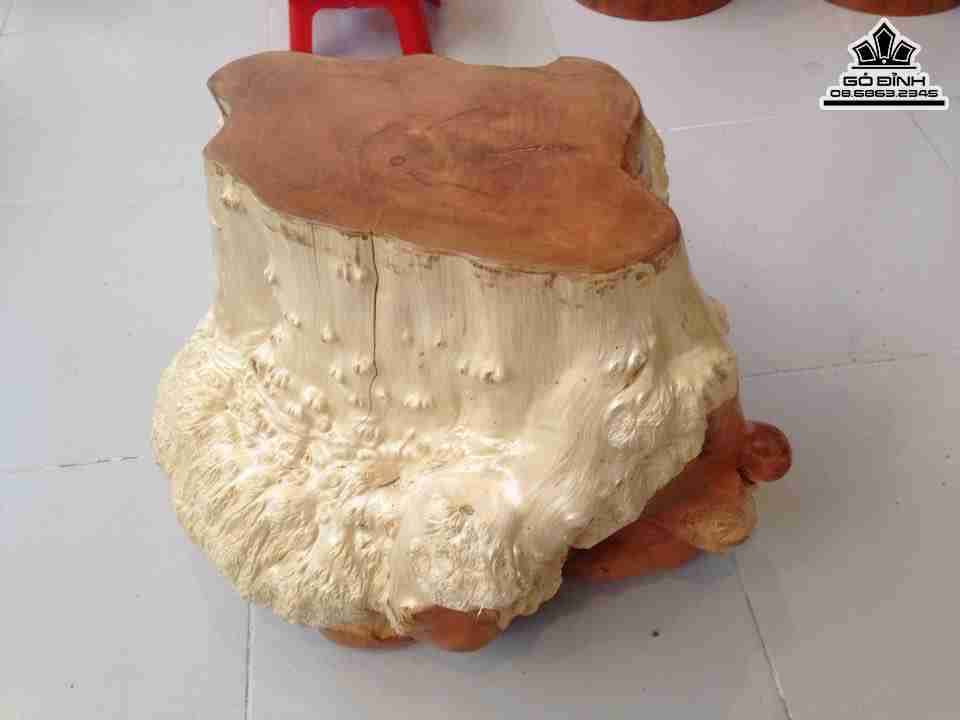 Don-Goc-Cay-Go-Nu-Go