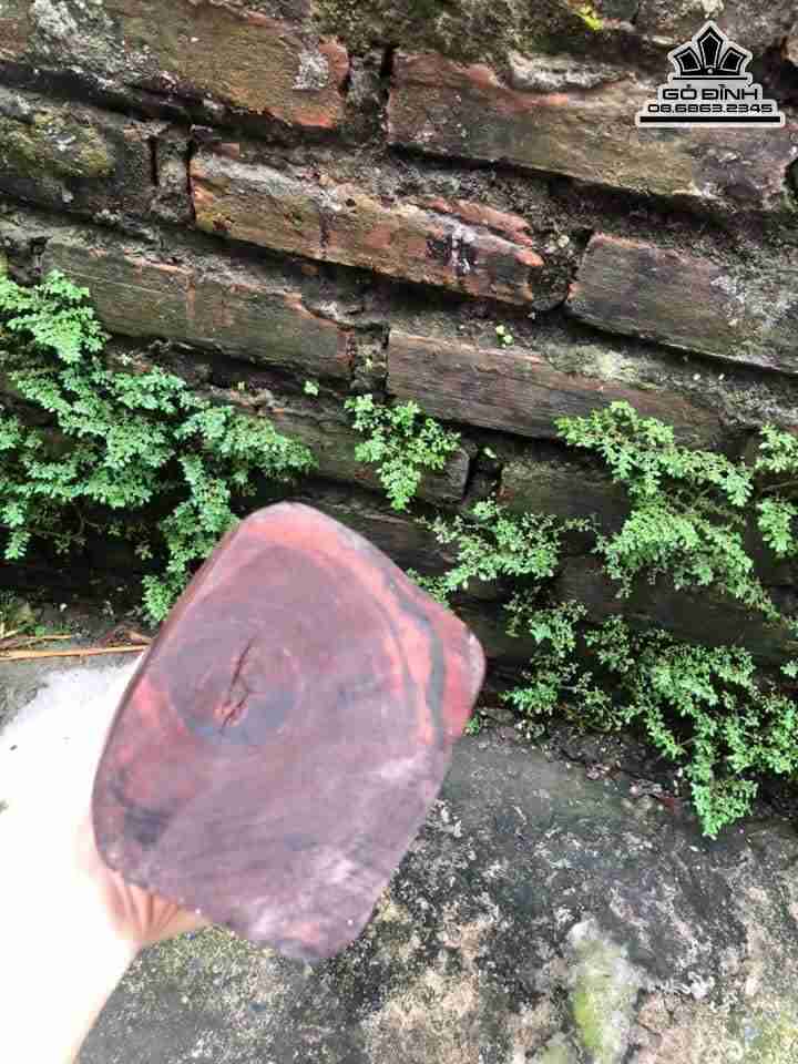 Tuong-Khong-Minh-Gia-Cat-Luong-Go