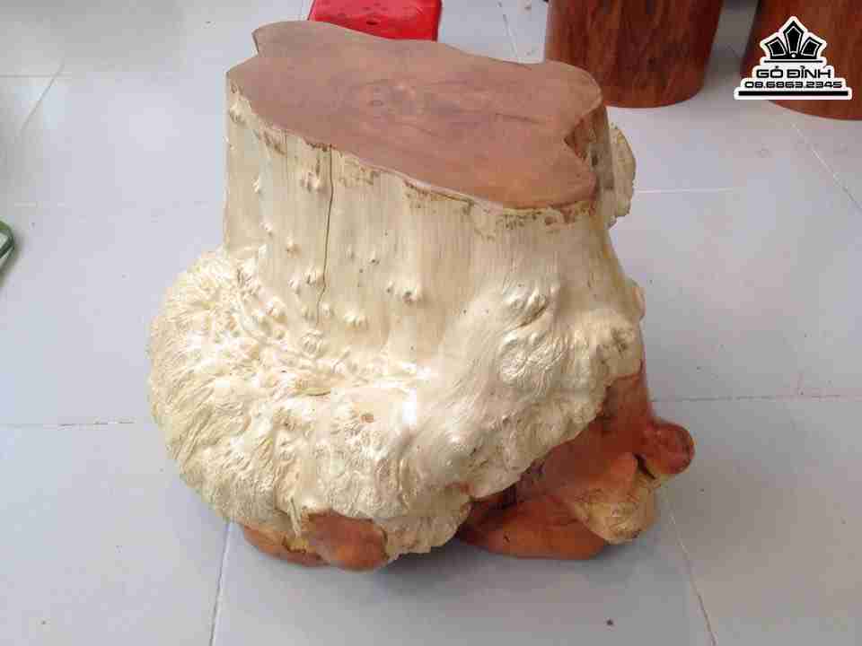 Don-Goc-Cay-Go-Nu-Go