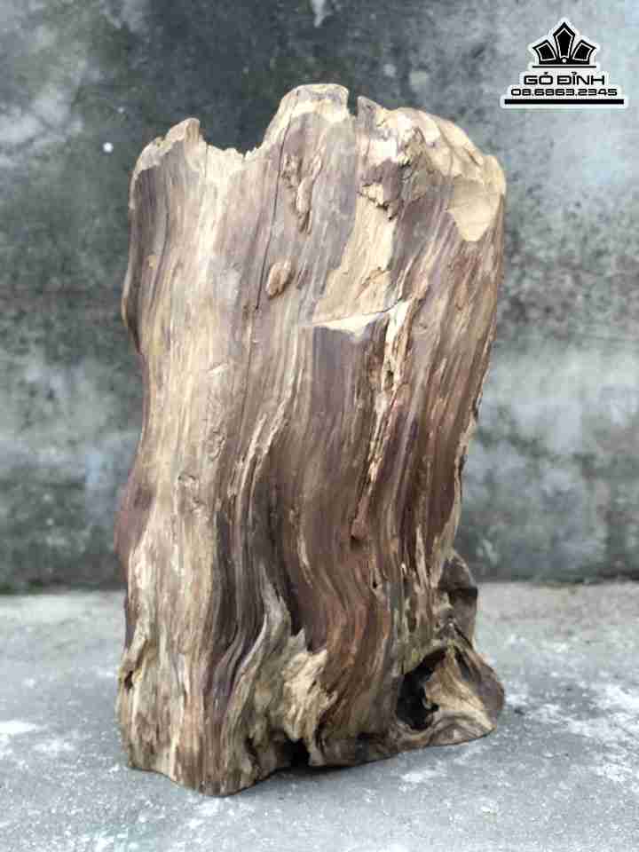 Tuong-Dat-Ma-Ngoi-Thien-Go-Bach-Xanh