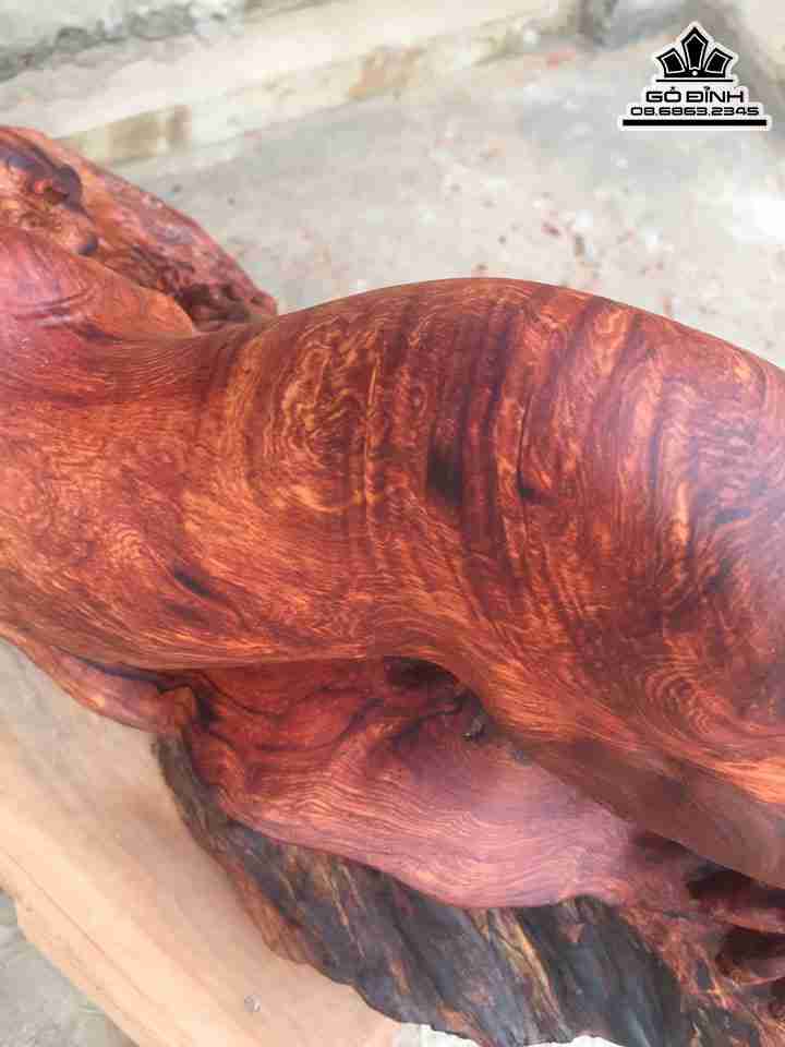 Bao-San-Moi-Go-Cam-Chi