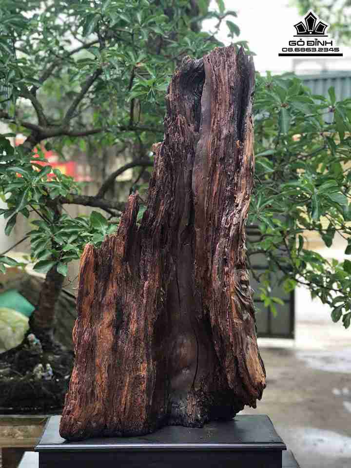 Tuong-Tam-Da-Phuc-Loc-Tho