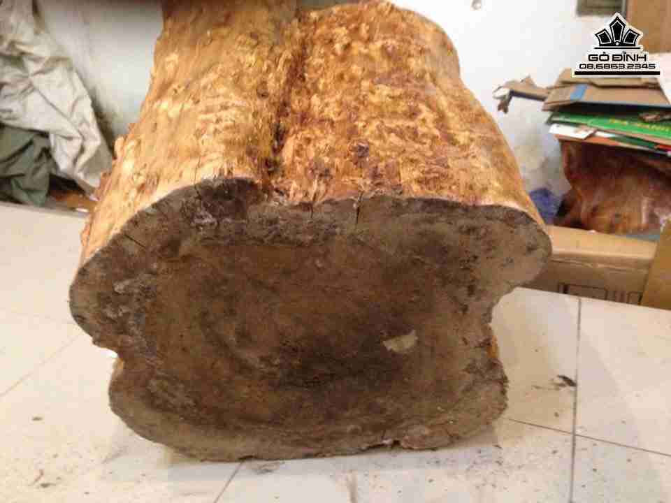 Don-Go-Nguyen-Khoi-Go-Nu-Khao-