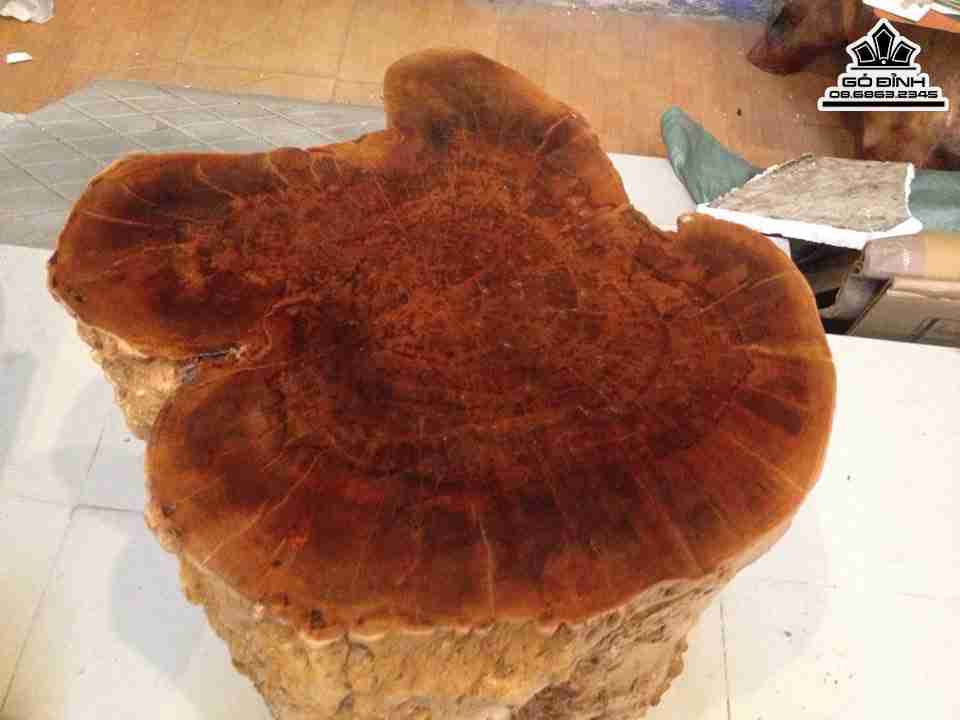 Don-Go-Nguyen-Khoi-Go-Nu-Khao-