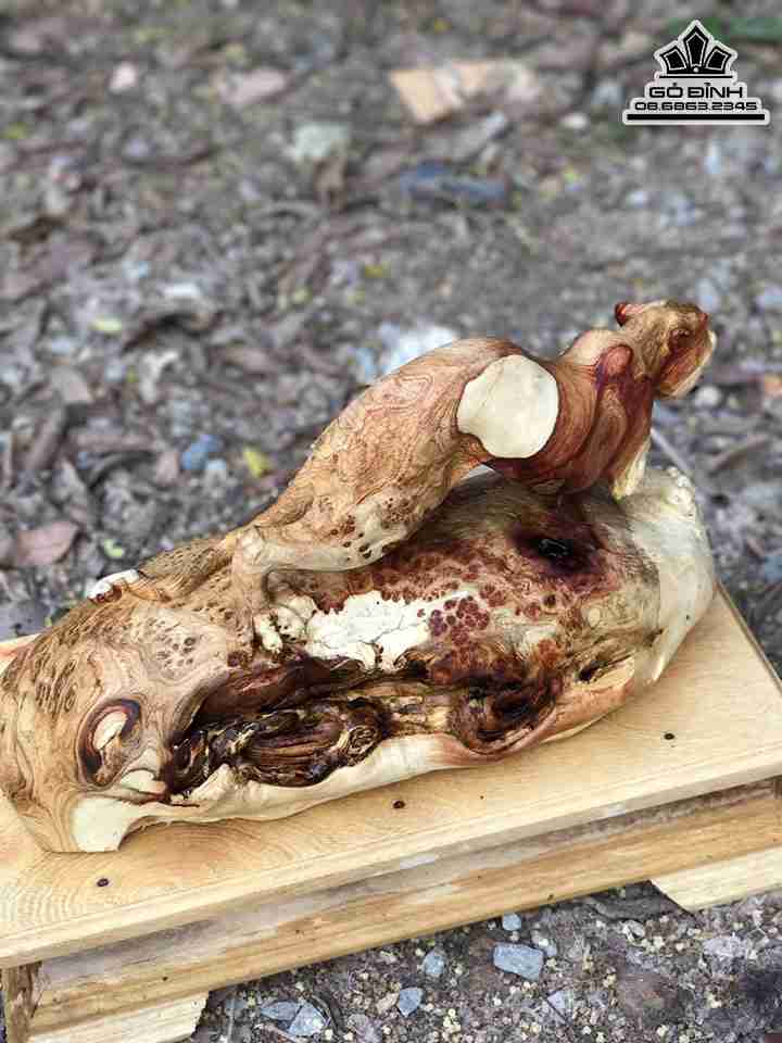 Tuong-Bao-San-Moi-Go-Nu-Huong