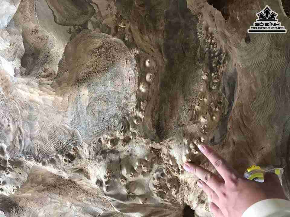 Ban-Tra-Nhat-Go-Nu-Gu-Huong