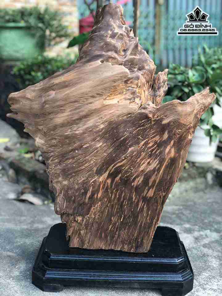 Tuong-Lua-Go-Ngoc-Am