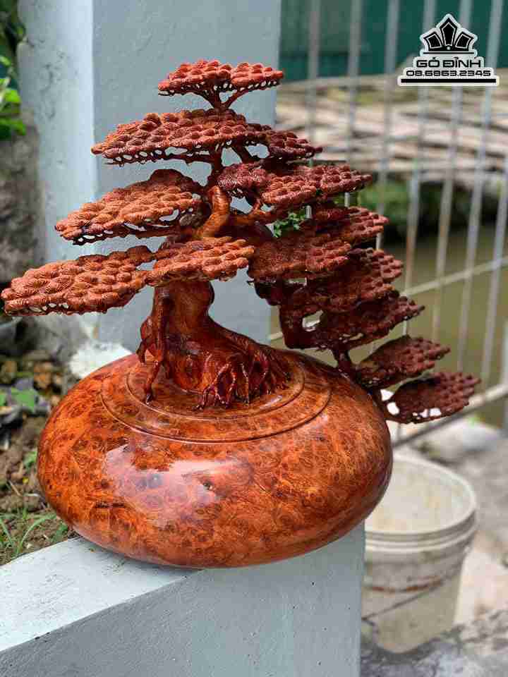 Tuong-Binh-Tung-Bon-Sai-Go-Nu-Huong