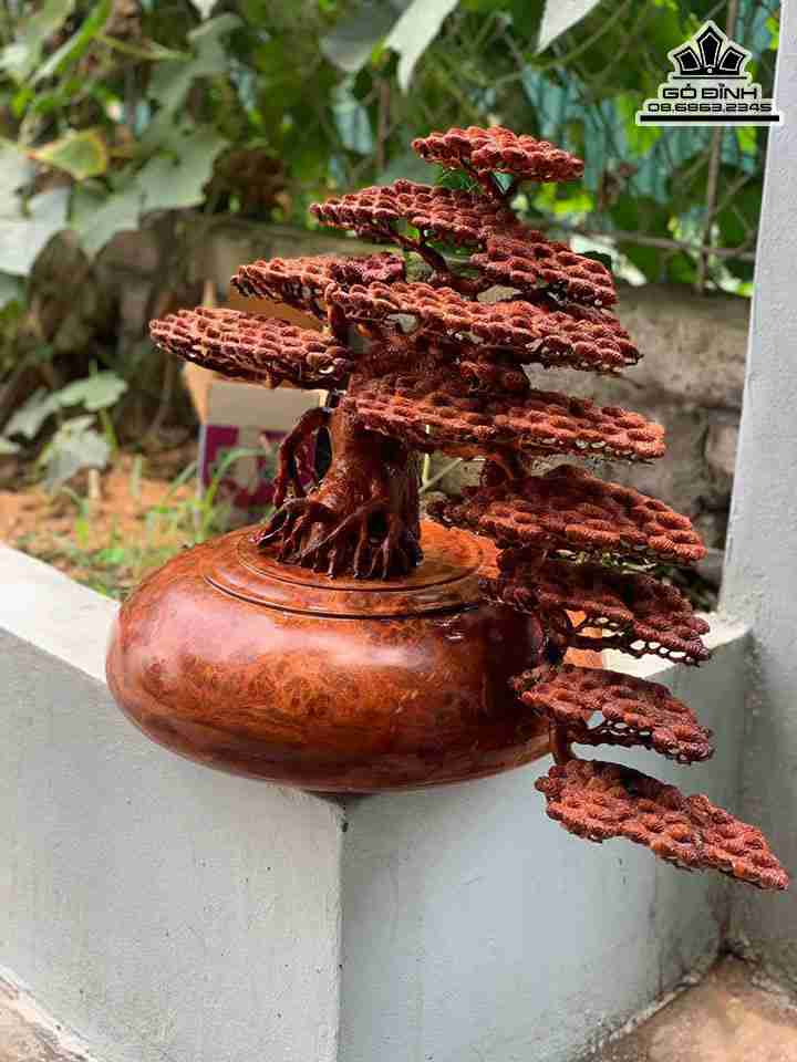 Tuong-Binh-Tung-Bon-Sai-Go