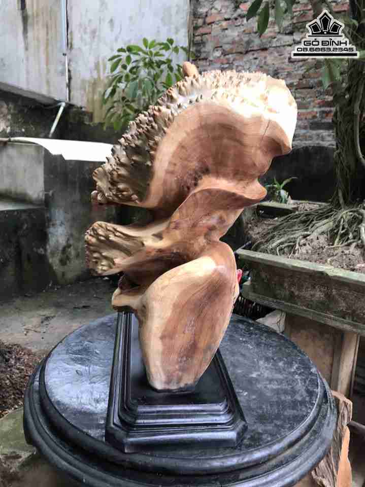 Tuong-Dat-Ma-Xuat-Quyen-Go-Nu-Ngoc-Am