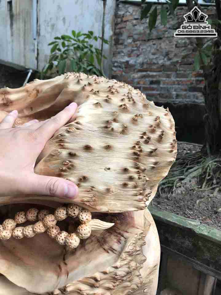 Tuong-Dat-Ma-Xuat-Quyen-Go