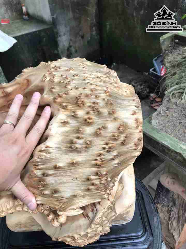 Tuong-Dat-Ma-Xuat-Quyen-Go