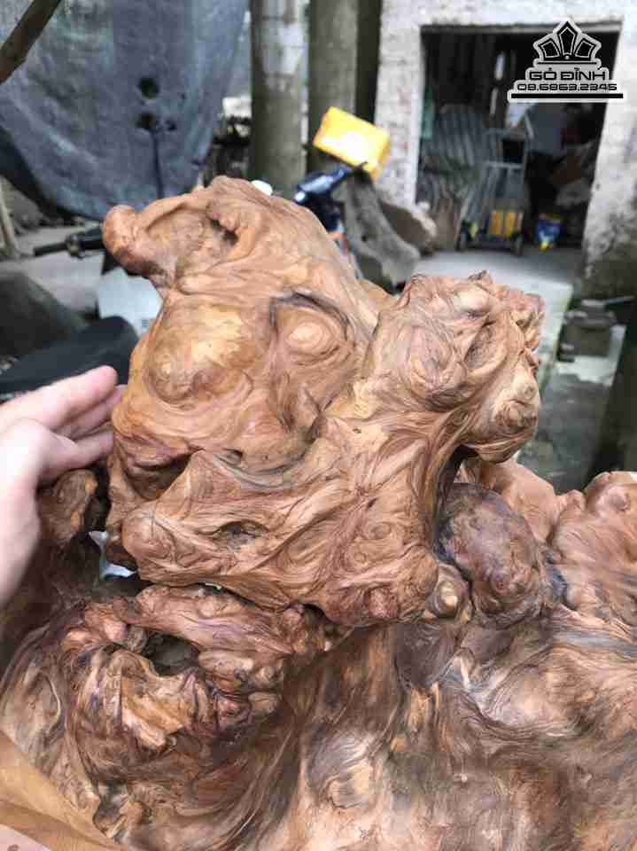 Tuong-Dat-Ma-Xuat-Quyen-Go-Nu-Sun-Ngoc-Am