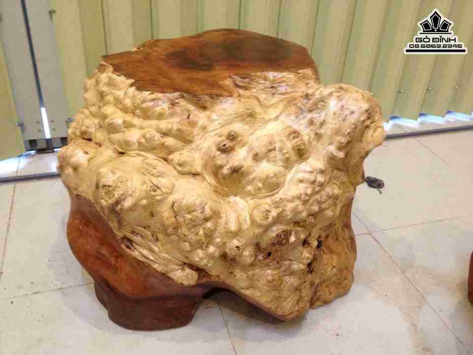 Don-Goc-Cay-Nguyen-Khoi-Go-Nu-Xa-Xi-Gu-Huong