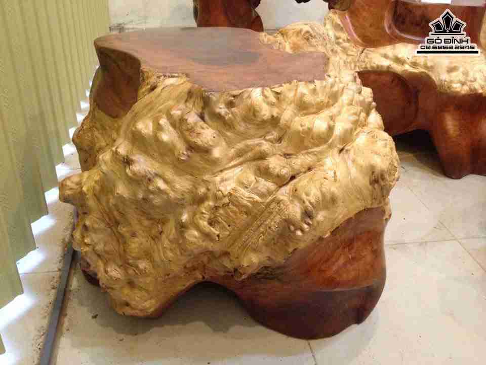 Don-Goc-Cay-Nguyen-Khoi