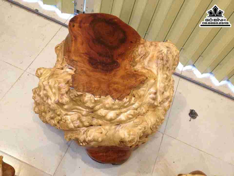 Don-Goc-Cay-Nguyen-Khoi-Dep