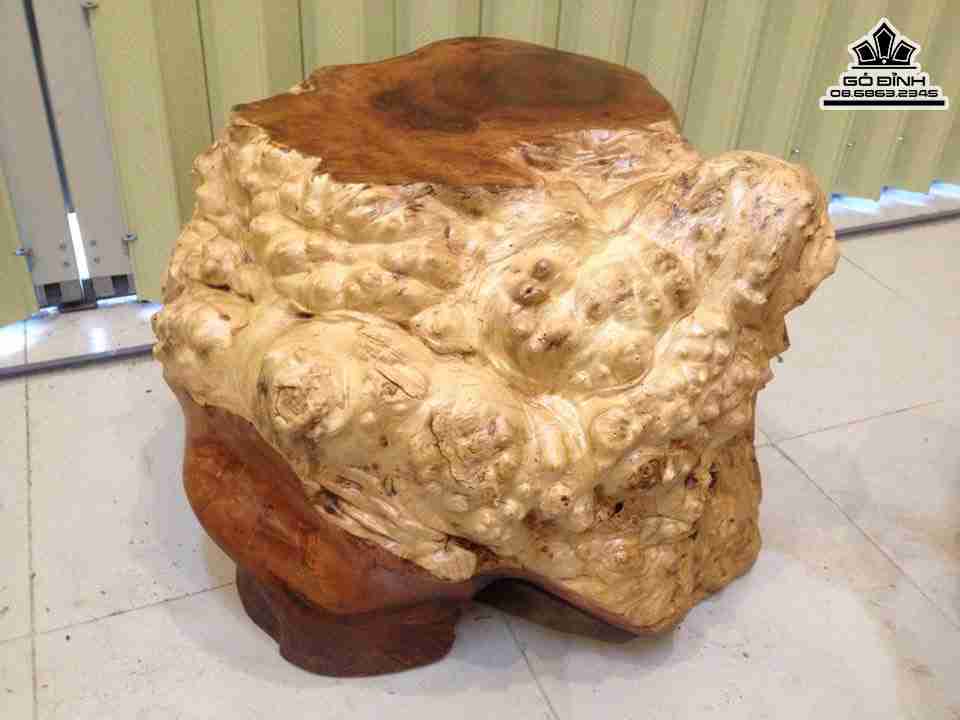 Don-Goc-Cay-Nguyen-Khoi-Go-My-Nghe