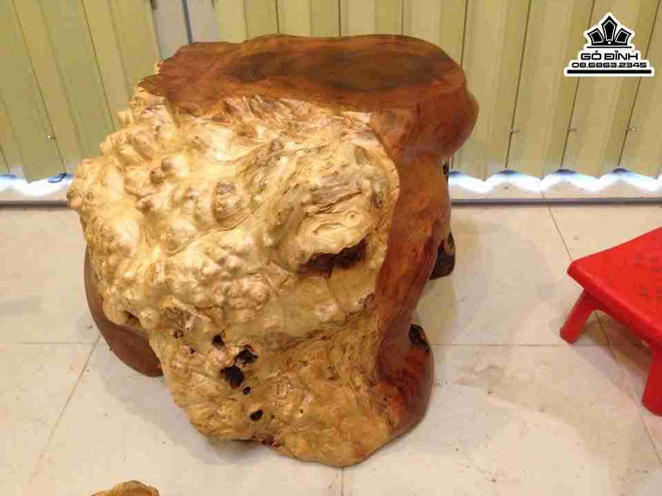 Don-Goc-Cay-Nguyen-Khoi-Go-Nu-Xa-Xi-Gu-Huong