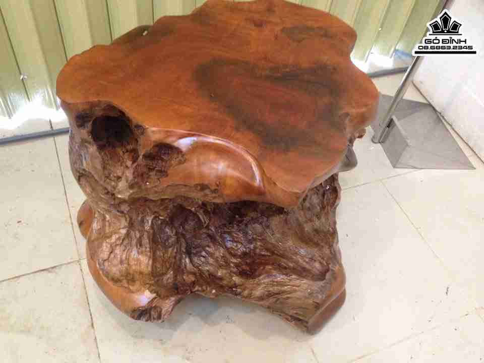 Don-Goc-Cay-Go-Lua-Nu-Xa-Xi-Gu-Huong