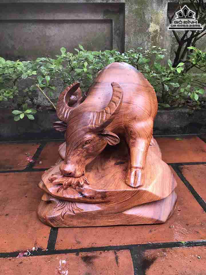 Tuong-Tieu-Dong-Chan-Trau-Go-Dep