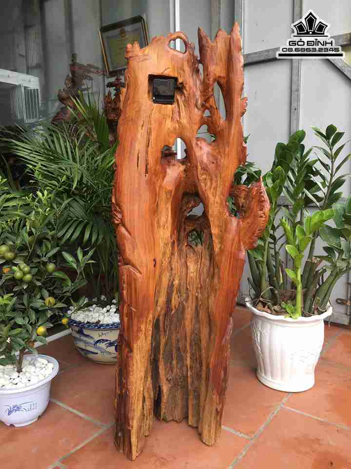 Tuong-Ca-Chep-Hoa-Rong-Go-Huong