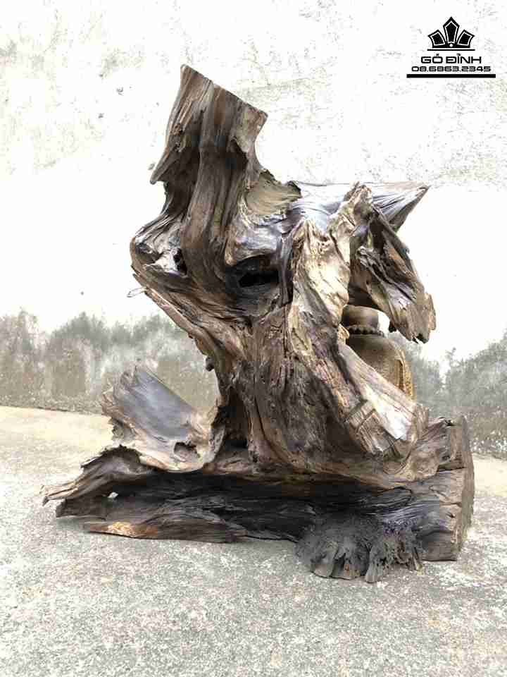 Tuong-Dat-Ma-Ngoi-Thien-Go-Bach-Xanh