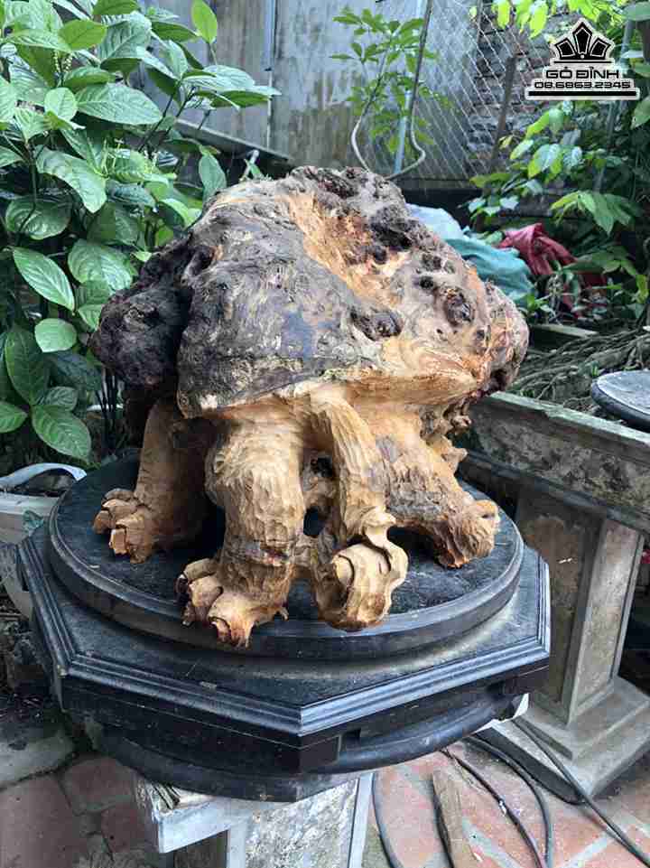 Tuong-Long-Quy-Go-Nu-Sun-Ngoc-Am-1